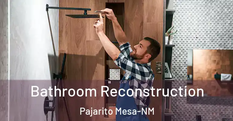 inner Bathroom imggen Bathroom Reconstruction Pajarito Mesa-NM
