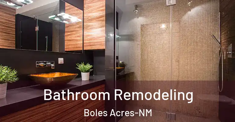 inner Bathroom imggen Bathroom Remodeling Boles Acres-NM