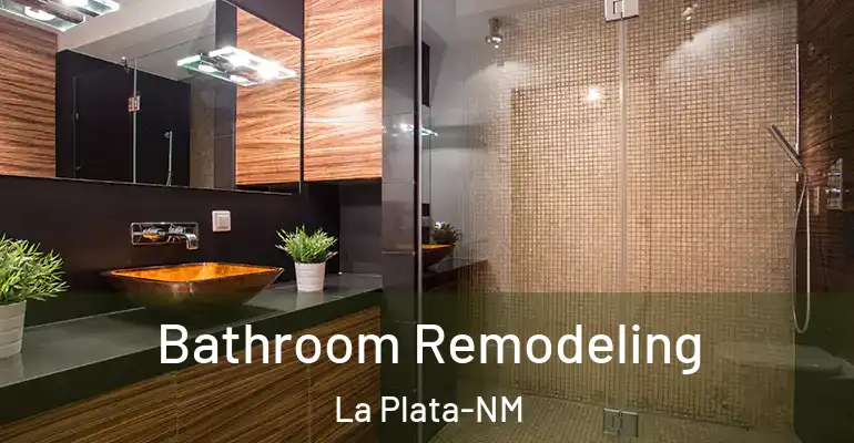 inner Bathroom imggen Bathroom Remodeling La Plata-NM
