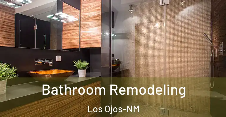 inner Bathroom imggen Bathroom Remodeling Los Ojos-NM