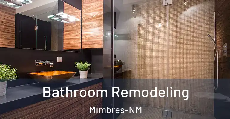 inner Bathroom imggen Bathroom Remodeling Mimbres-NM