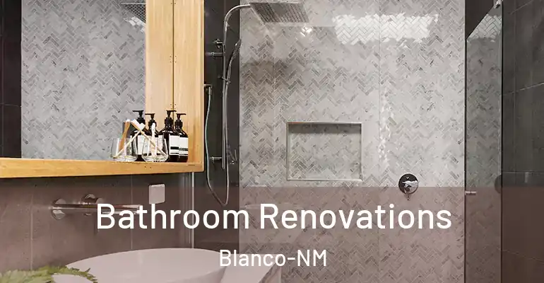 inner Bathroom imggen Bathroom Renovations Blanco-NM