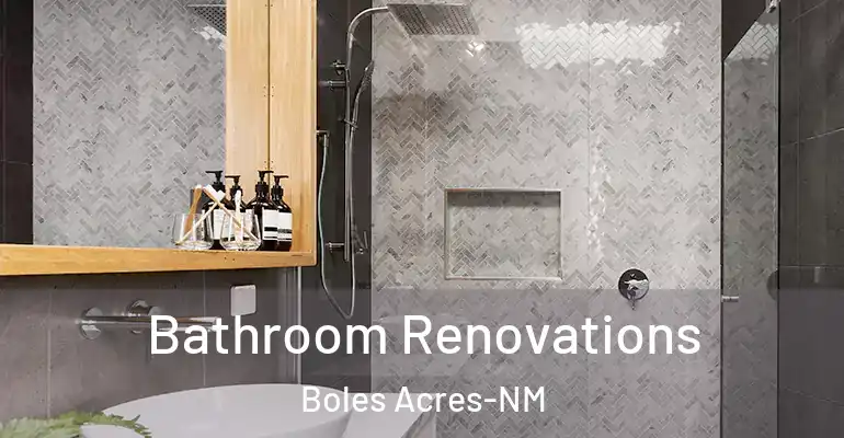 inner Bathroom imggen Bathroom Renovations Boles Acres-NM