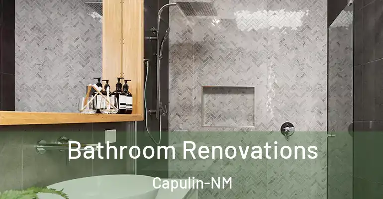 inner Bathroom imggen Bathroom Renovations Capulin-NM
