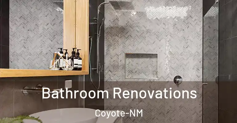 inner Bathroom imggen Bathroom Renovations Coyote-NM