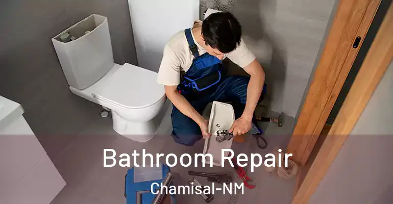 inner Bathroom imggen Bathroom Repair Chamisal-NM