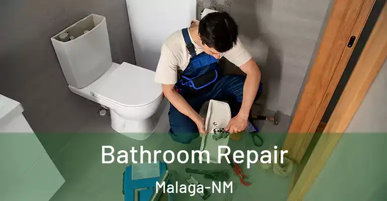 inner Bathroom imggen Bathroom Repair Malaga-NM
