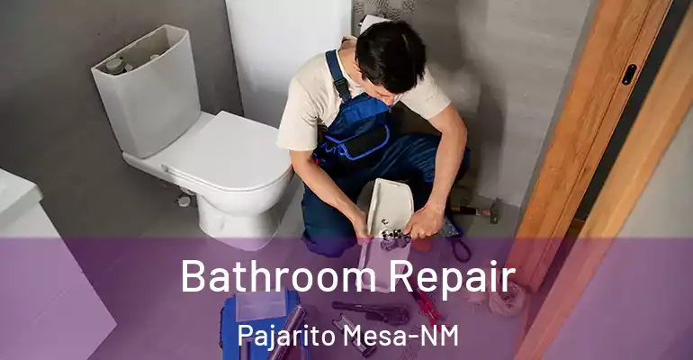 inner Bathroom imggen Bathroom Repair Pajarito Mesa-NM