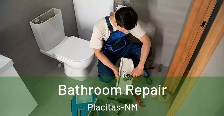 inner Bathroom imggen Bathroom Repair Placitas-NM