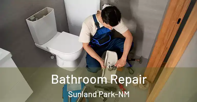 inner Bathroom imggen Bathroom Repair Sunland Park-NM