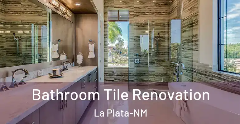 inner Bathroom imggen Bathroom Tile Renovation La Plata-NM