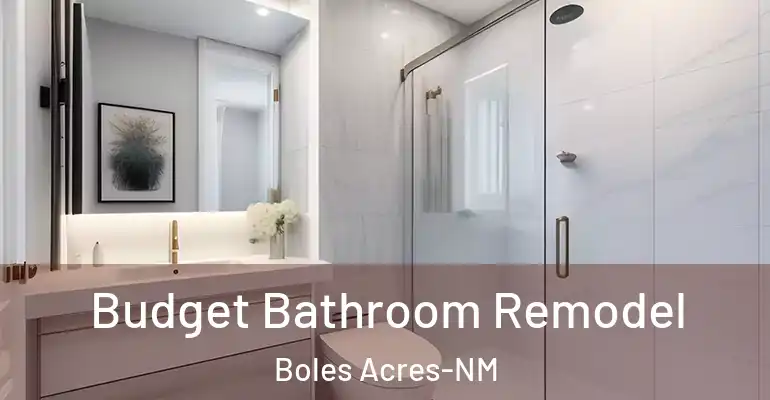 inner Bathroom imggen Budget Bathroom Remodel Boles Acres-NM
