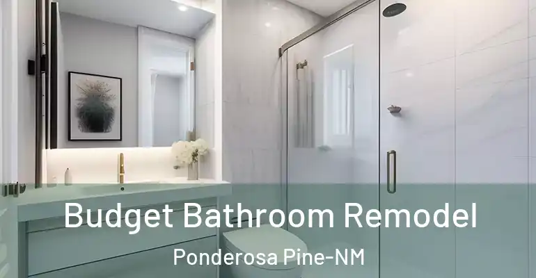 inner Bathroom imggen Budget Bathroom Remodel Ponderosa Pine-NM