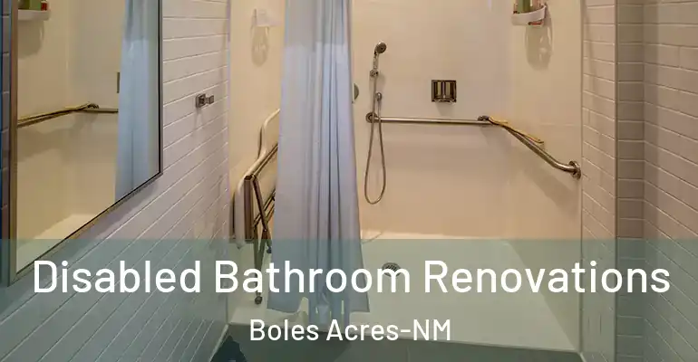 inner Bathroom imggen Disabled Bathroom Renovations Boles Acres-NM