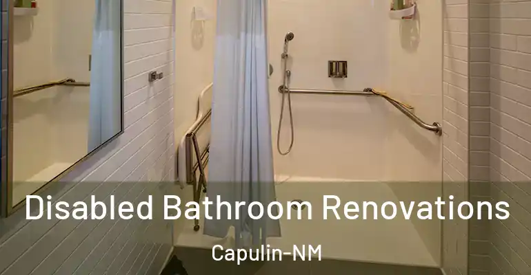 inner Bathroom imggen Disabled Bathroom Renovations Capulin-NM