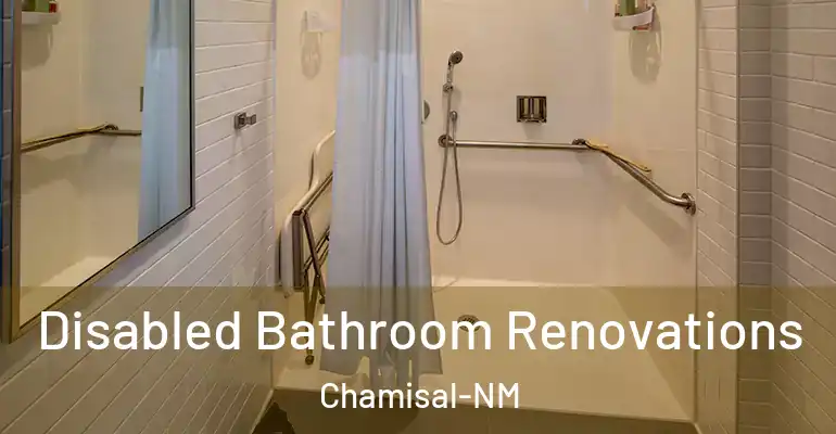 inner Bathroom imggen Disabled Bathroom Renovations Chamisal-NM