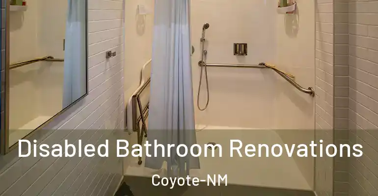 inner Bathroom imggen Disabled Bathroom Renovations Coyote-NM