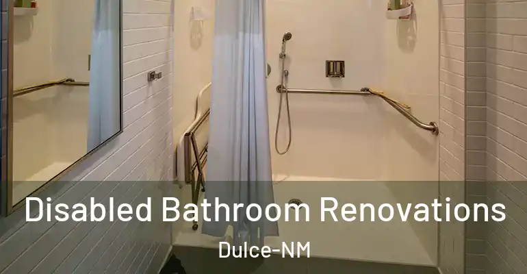 inner Bathroom imggen Disabled Bathroom Renovations Dulce-NM