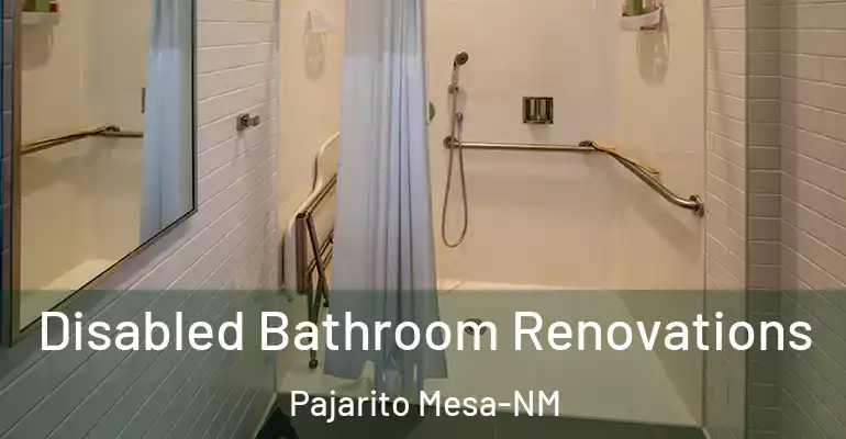 inner Bathroom imggen Disabled Bathroom Renovations Pajarito Mesa-NM
