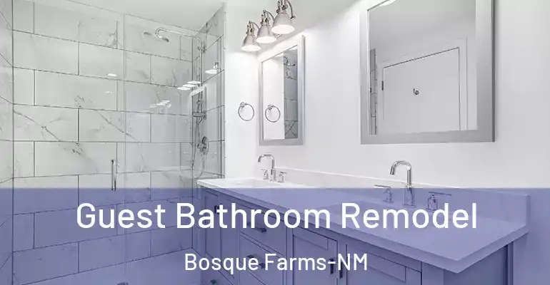 inner Bathroom imggen Guest Bathroom Remodel Bosque Farms-NM