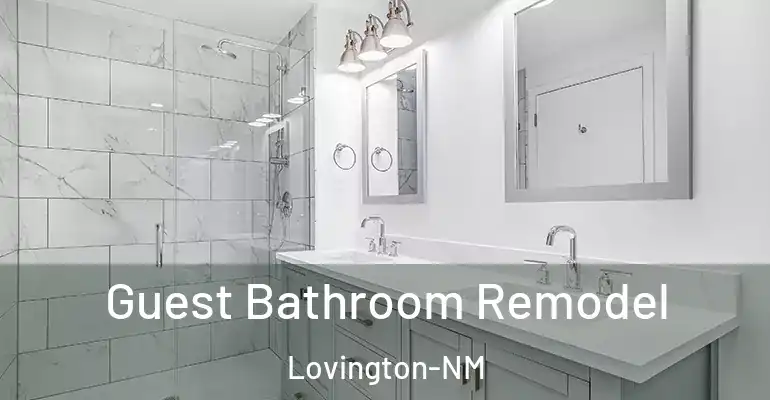 inner Bathroom imggen Guest Bathroom Remodel Lovington-NM