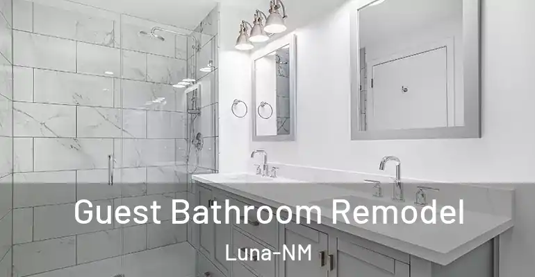 inner Bathroom imggen Guest Bathroom Remodel Luna-NM