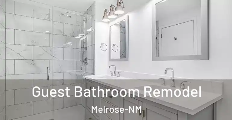 inner Bathroom imggen Guest Bathroom Remodel Melrose-NM