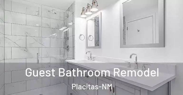 inner Bathroom imggen Guest Bathroom Remodel Placitas-NM