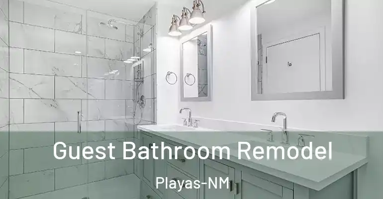 inner Bathroom imggen Guest Bathroom Remodel Playas-NM