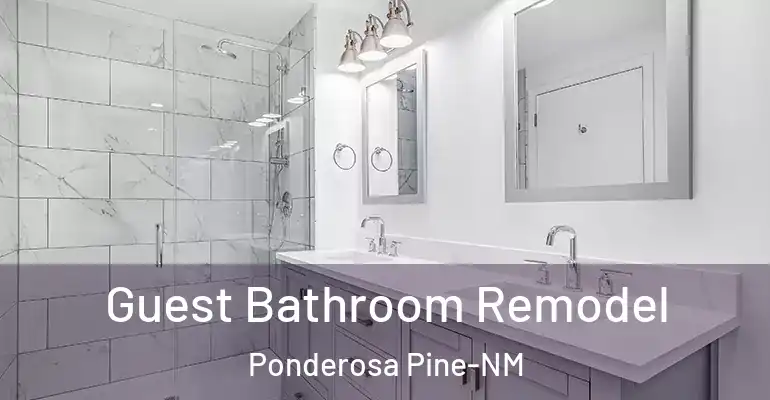 inner Bathroom imggen Guest Bathroom Remodel Ponderosa Pine-NM