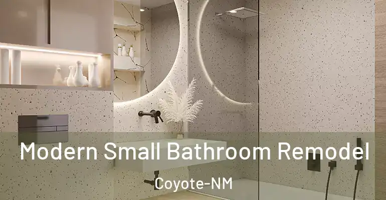 inner Bathroom imggen Modern Small Bathroom Remodel Coyote-NM