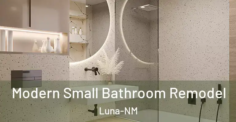 inner Bathroom imggen Modern Small Bathroom Remodel Luna-NM
