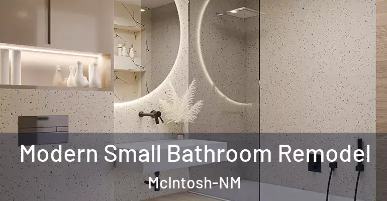 inner Bathroom imggen Modern Small Bathroom Remodel McIntosh-NM
