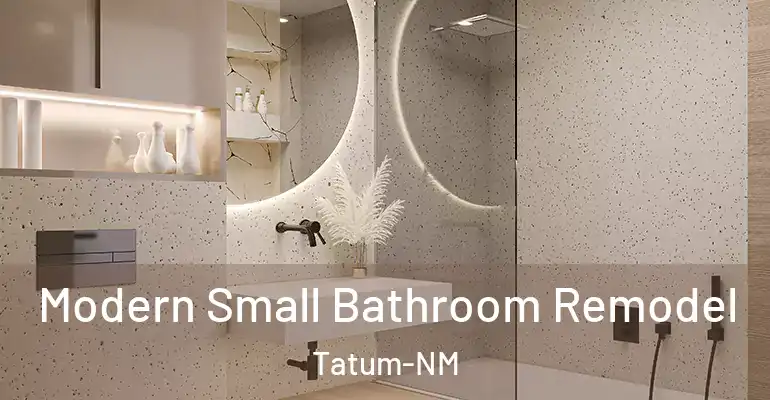 inner Bathroom imggen Modern Small Bathroom Remodel Tatum-NM