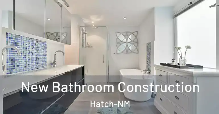 inner Bathroom imggen New Bathroom Construction Hatch-NM