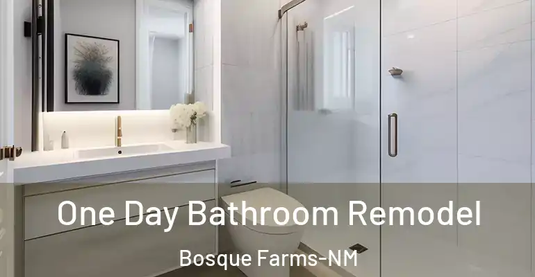 inner Bathroom imggen One Day Bathroom Remodel Bosque Farms-NM