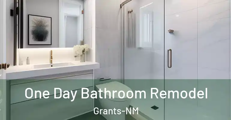 inner Bathroom imggen One Day Bathroom Remodel Grants-NM