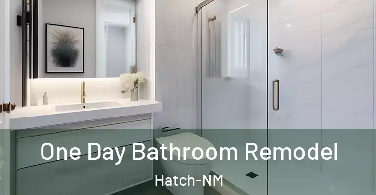 inner Bathroom imggen One Day Bathroom Remodel Hatch-NM