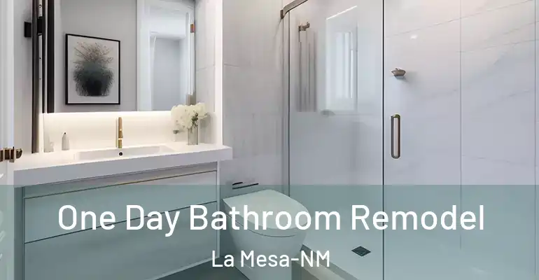 inner Bathroom imggen One Day Bathroom Remodel La Mesa-NM