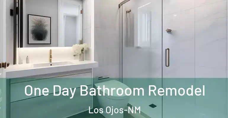 inner Bathroom imggen One Day Bathroom Remodel Los Ojos-NM