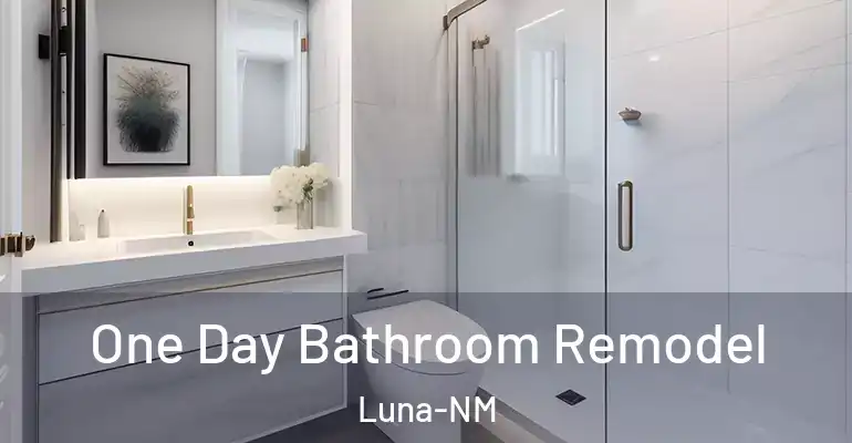 inner Bathroom imggen One Day Bathroom Remodel Luna-NM