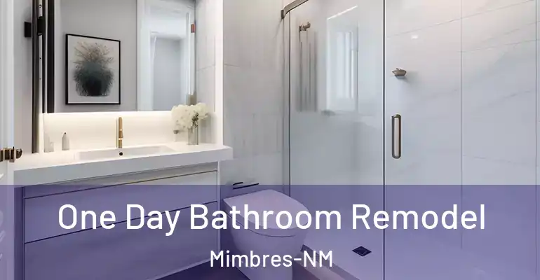 inner Bathroom imggen One Day Bathroom Remodel Mimbres-NM