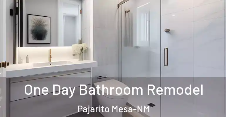 inner Bathroom imggen One Day Bathroom Remodel Pajarito Mesa-NM
