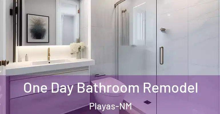 inner Bathroom imggen One Day Bathroom Remodel Playas-NM