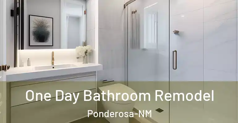 inner Bathroom imggen One Day Bathroom Remodel Ponderosa-NM
