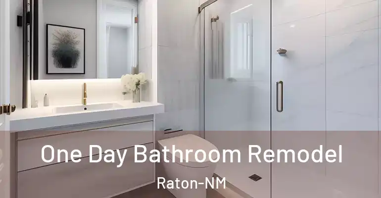 inner Bathroom imggen One Day Bathroom Remodel Raton-NM