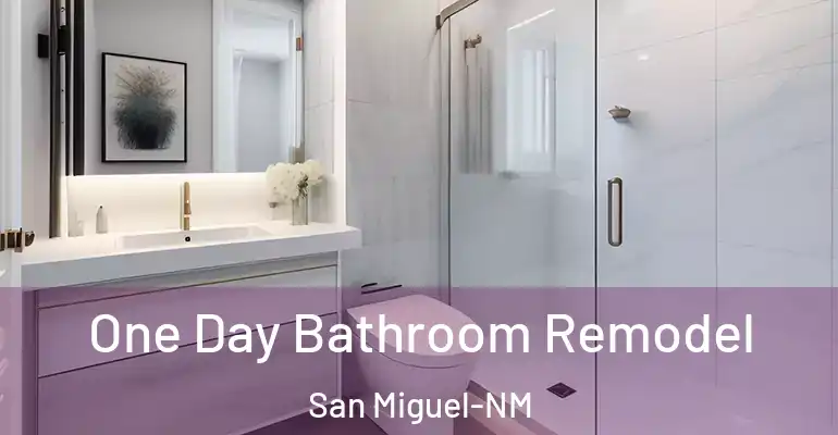 inner Bathroom imggen One Day Bathroom Remodel San Miguel-NM