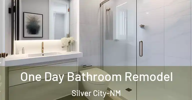 inner Bathroom imggen One Day Bathroom Remodel Silver City-NM