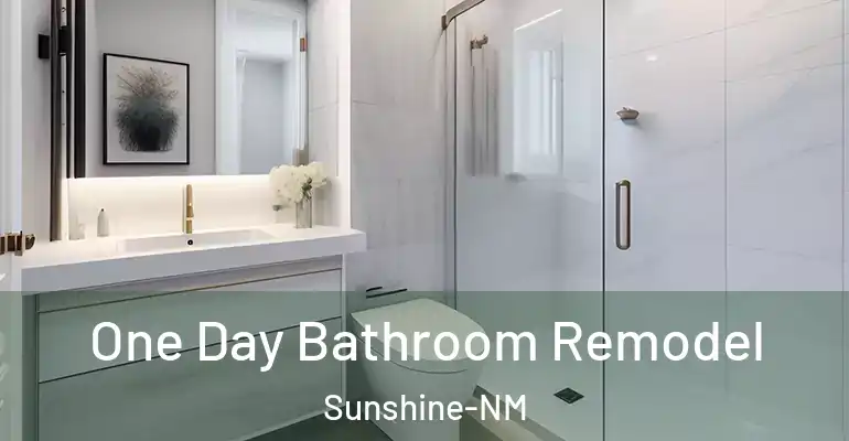 inner Bathroom imggen One Day Bathroom Remodel Sunshine-NM