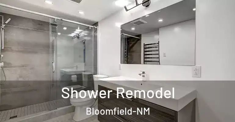 inner Bathroom imggen Shower Remodel Bloomfield-NM